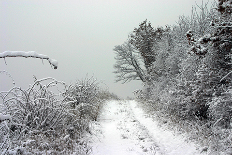 Chemin vers nulle part